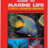 SNORKELING GUIDE to Marine Life