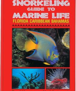 SNORKELING GUIDE to Marine Life