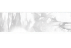Aqualung Mask Strap - Fast Strap White Wolf