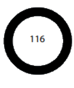 O-Ring 116 Viton