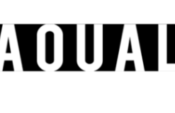 Aqualung Mask Strap - Fast Strap Black/ White