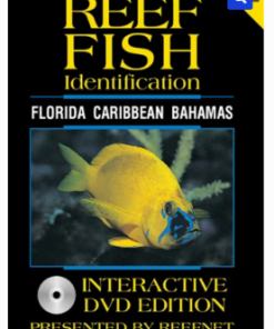 Reef Fish ID interactive DVD (sale)