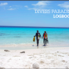 Logboek Divers Paradise