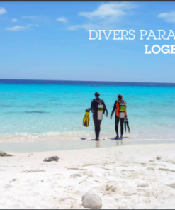 Logboek Divers Paradise