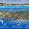 Bachelor Beach underwater map