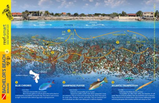 Bachelor Beach underwater map