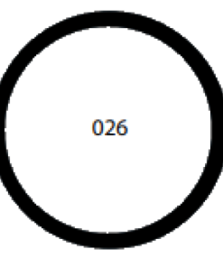 O-ring 026
