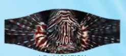 Seascapes Mask Strap Cover - LIONFISH