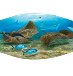 Seascapes Mask Strap Cover - STINGRAY