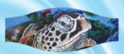 Seascapes Mask Strap Cover - TURTLE