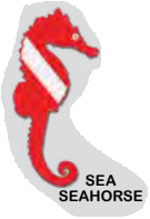 Red & White DeLuxe Decal 8" - SEAHORSE