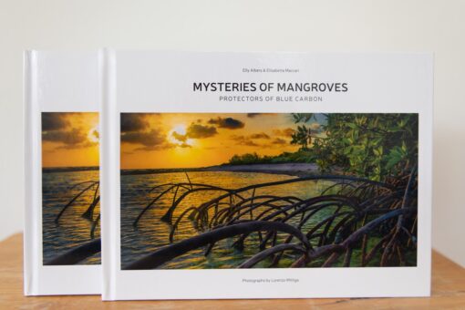 Mysteries of Mangroves Book - Image 3