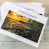 Mysteries of Mangroves Book