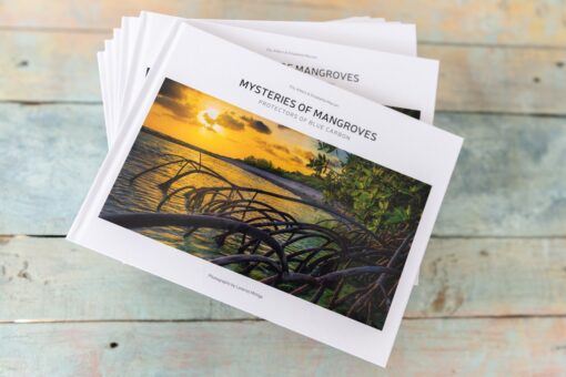 Mysteries of Mangroves Book