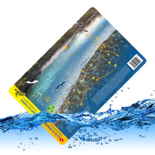 Map Playa Kalki Card