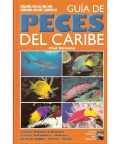 Reef Fish ID    Spanish